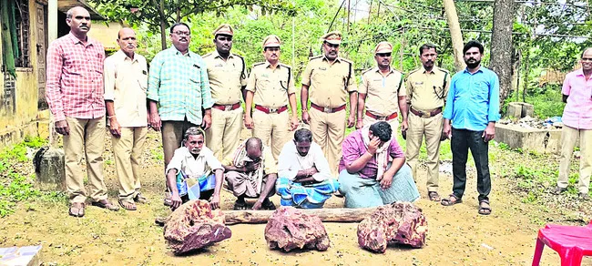 ఎర్రచందనం అక్రమ రవాణాపై ఉక్కుపాదం