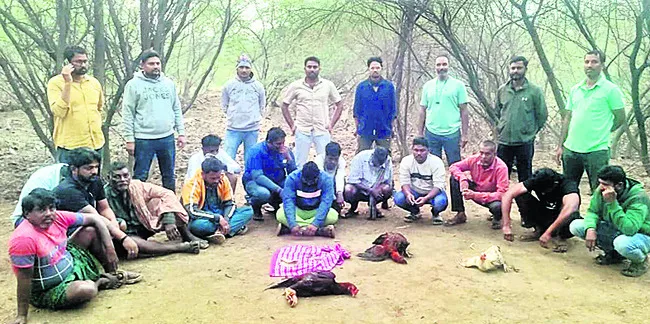 కోడిపందాల స్థావరాలపై టాస్క్‌ ఫోర్స్‌ దాడులు