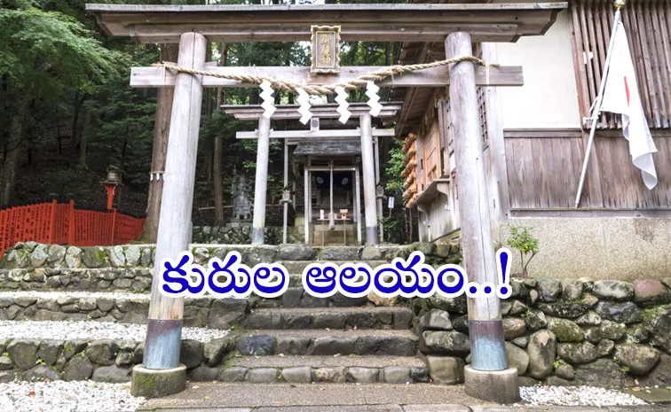 Mikami Shrine To Pray For A Hair Loss Cure7