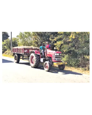 అడ్డులేని ఇసుక 