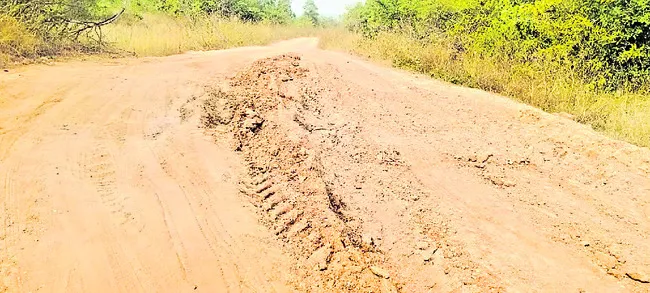 పట్టింపేది?