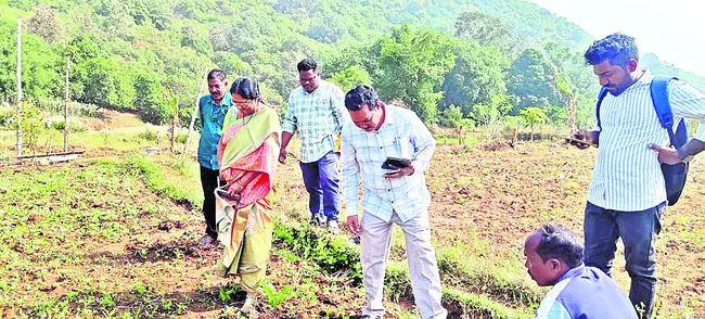 పంట మార్పిడి విధానంతో ప్రయోజనాలు