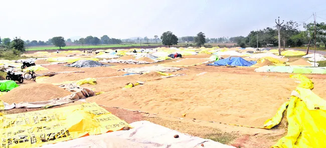 ధాన్యం రాశులు