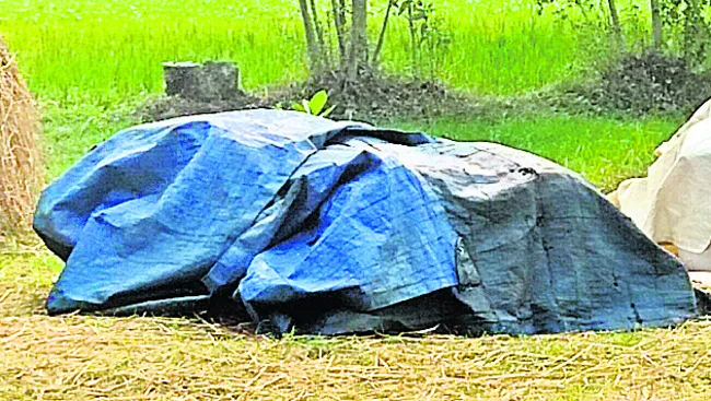 టార్పాలిన్లు ఎక్కడ? 