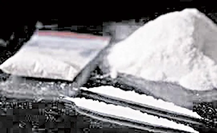 డ్రగ్స్‌ సరఫరా చేస్తున్న విదేశీ మహిళ డిపోర్టేషన్‌