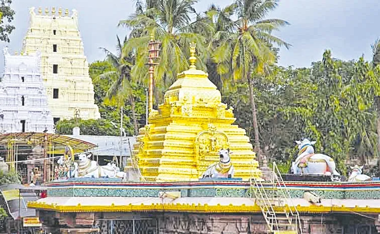 Makara Sankranti Brahmotsavams from January 12 in Srisailam