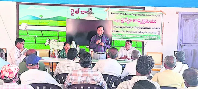 ఆయిల్‌ పాం సాగుతో లాభాలు