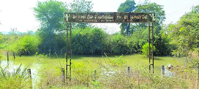 ఆటలకు టాటా..