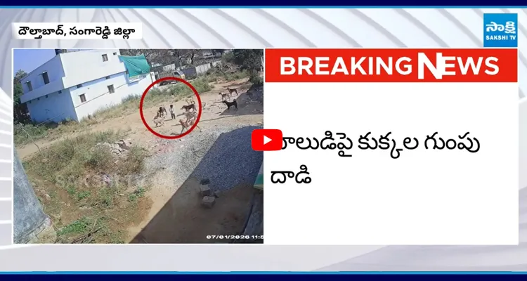 TS: బాలుడిపై కుక్కల గుంపు దాడి