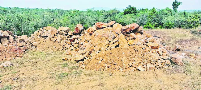 పచ్చని దోపిడీ ! 