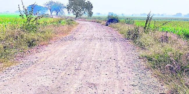 ‘దారి’తప్పిన తమ్ముళ్లు! 