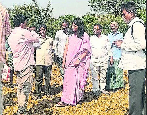 సాగు రైతులకు అనుకూలంగా సిఫార్సులు చేయాలి
