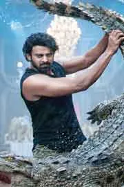 Fans with Crocodiles at Prabhas The Raja Saab Movie Theater8