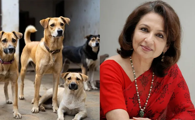 Stray Dogs case : నటి షర్మిలకు సుప్రీం స్ట్రాంగ్‌ కౌంటర్‌ 