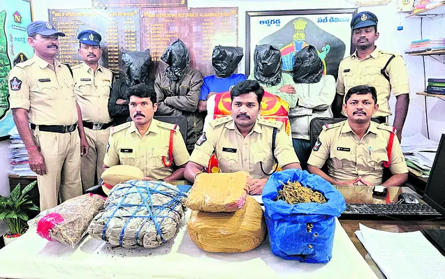 గంజాయి ముఠా అరెస్ట్‌ 
