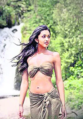 బాలీవుడ్‌ ఎంట్రీ షురూ 