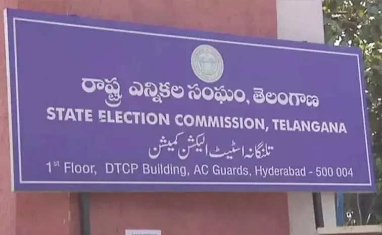 Massive nominations in municipal elections