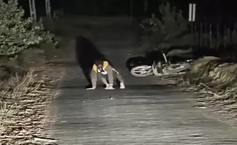 Rabies triggers disturbing behaviour in Banaskantha dist