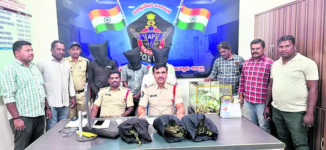 ముగ్గురు గంజాయి విక్రేతల అరెస్టు