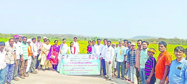 పొద్దుతిరుగుడు సాగు లాభదాయకం 