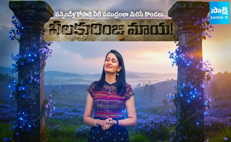 పన్నెండేళ్లకోసారి నీలి సముద్రంలా మెరిసే కొండలు… నీలకురింజి మాయ!