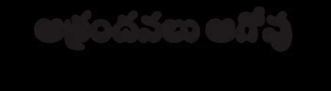 మహిళ అదృశ్యం 