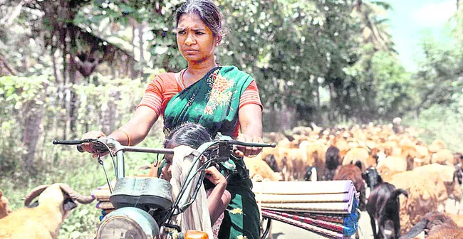 అవార్డుకు నామినేట్‌ అయిన మయిలా