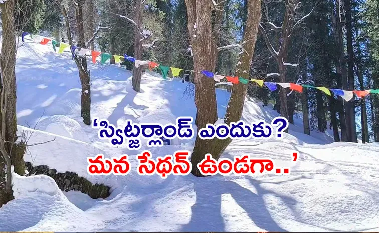 Igloo Village becomes new tourist attraction