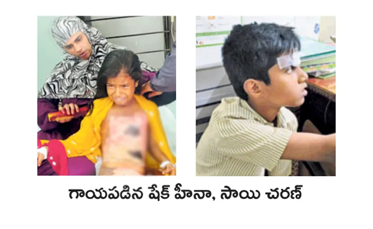 పాఠశాలల్లో భద్రత కరువు