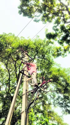 ఎనర్జీ అసిస్టెంట్లకు షాక్‌