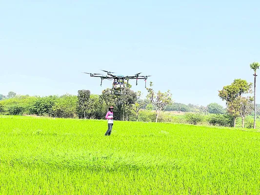 డ్రోన్‌ ఉపాధి