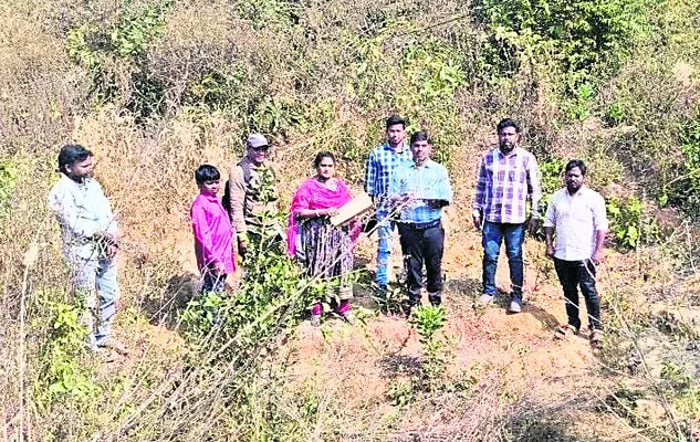 ఉపాధి హామీ పనుల తనిఖీ
