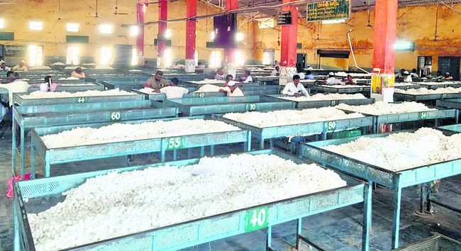 ‘పట్టు’ వీడని తెగుళ్లు