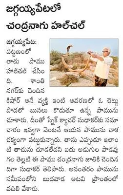 వేణుగోపాలుని హుండీ ఆదాయం రూ.17.52లక్షలు 