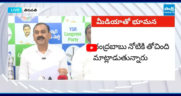 చంద్రబాబు నోటికి తోచింది మాట్లాడుతున్నారు