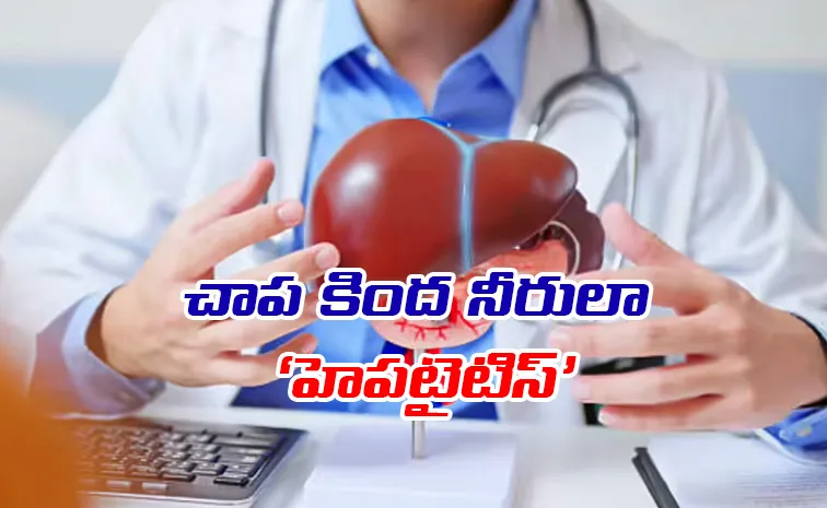 Liver Damage without Symptoms the Silent Spread of Hepatitis