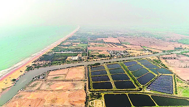 పచ్చనేతల ఆక్రమణలపై చర్యలు తీసుకోండి 