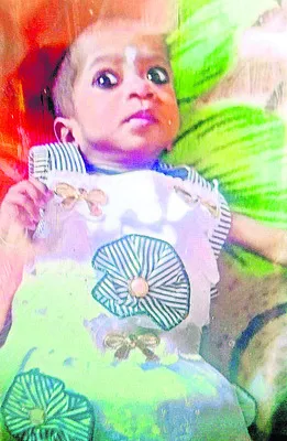 క్లుప్తంగా