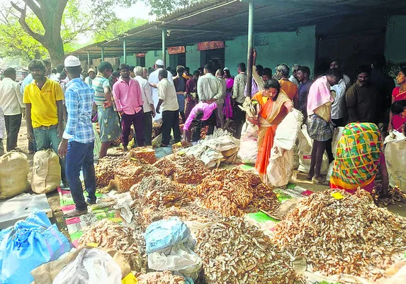 క్వింటా చింతపండు  రూ.24 వేలు 