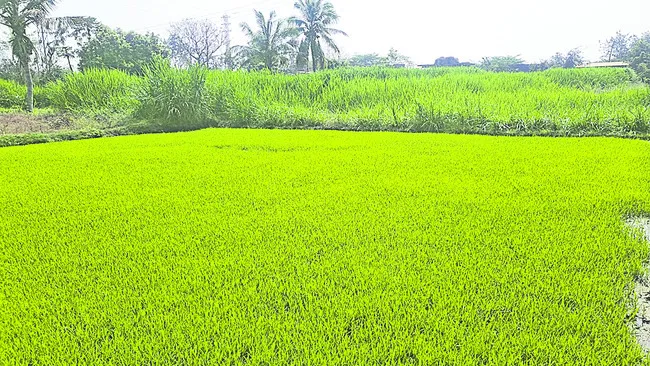 భూసేకరణ.. ఆందోళన!