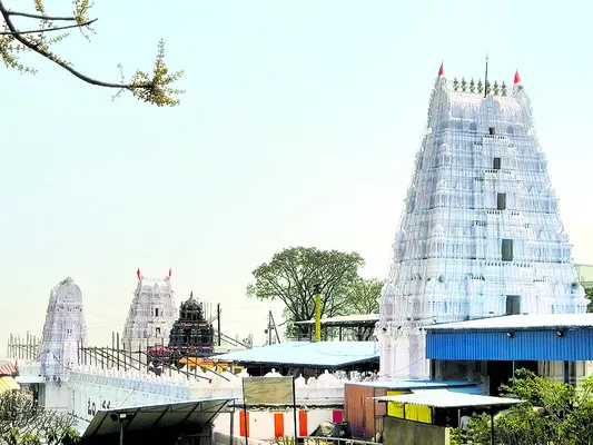 బ్రహ్మోత్సవం.. భక్తగణం 