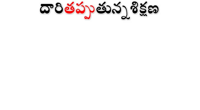 నిబంధనలను పాటించని డ్రైవింగ్‌ స్కూళ్లు 