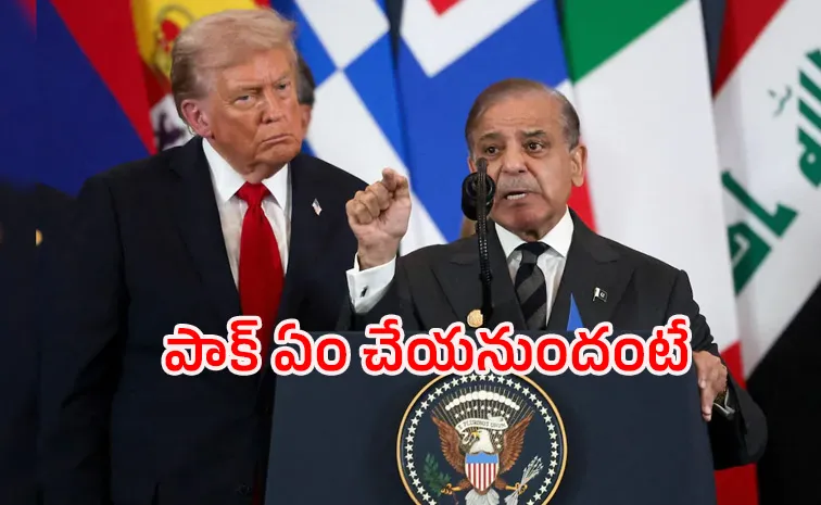 Pakistan to participate in Trump Board of Peace