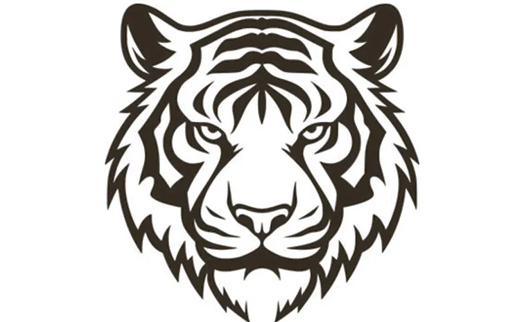 Telangana Forest Dept Uses Trackers and Drones for Tigers