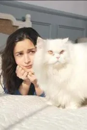  Alia Bhatt said Some life lessons my cats have taught me