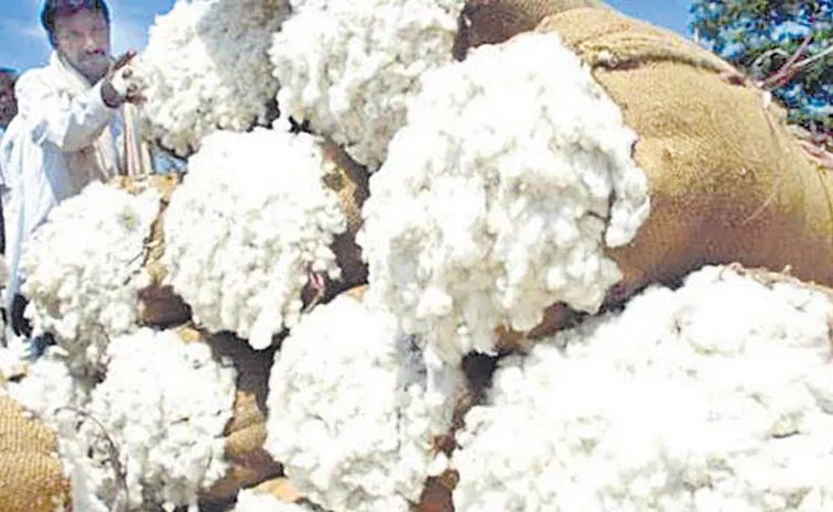 15 lakh metric tons of cotton sold so far