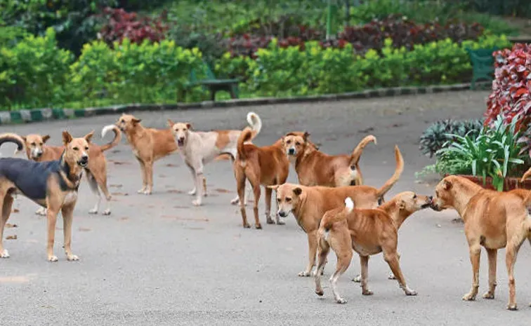 New task for secretariat employees