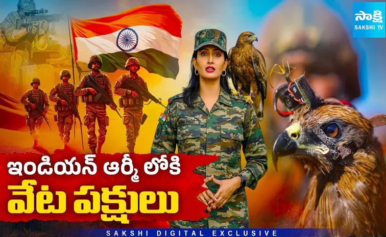 వీటిది అచ్చమైన 'డేగకన్ను..!
