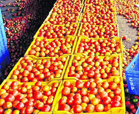 జిల్లా అంతటా శుక్రవారం ఉష్ణోగ్రతలు స్థిరంగా నమోదయ్యాయి.