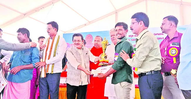 ఆకట్టుకున్న ఎద్దుల ప్రదర్శన పోటీలు 